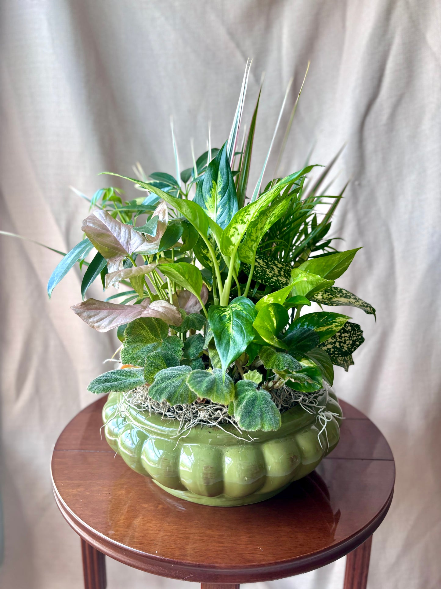 8" Dishgarden